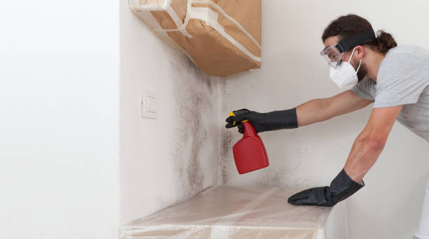 Professional Bathroom Mold Removal technician working in Enola, PA